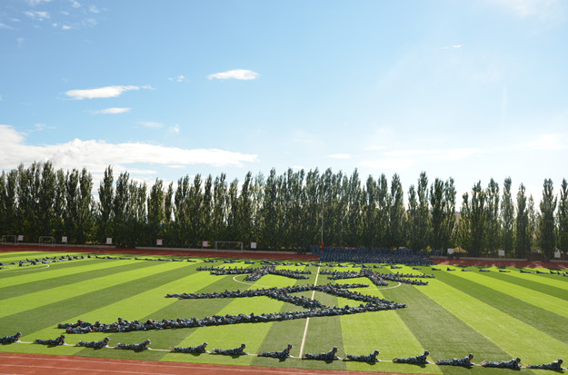 DSC_8240.JPG